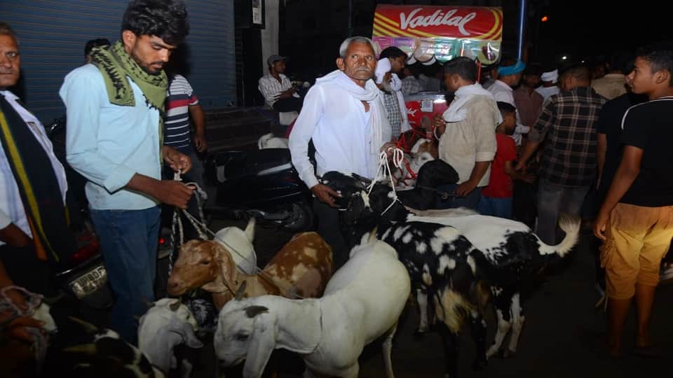 Rate of Bakra high on Bakreed 2025 available on different variants in agra