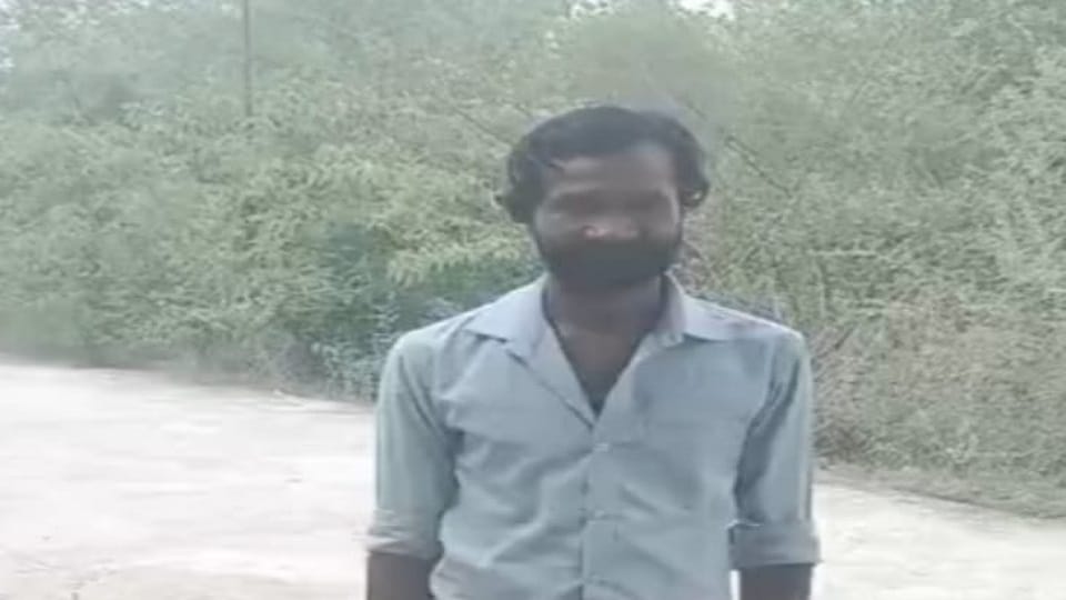चालक को सजा