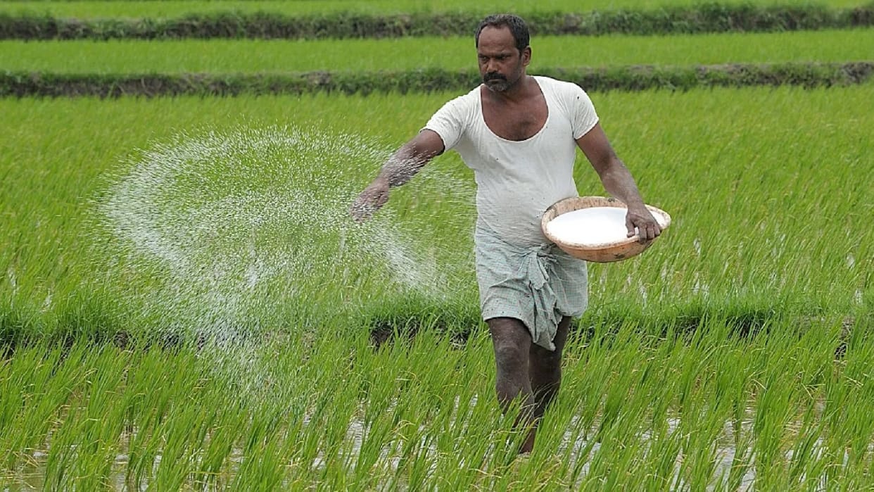 Farmers are being informed about alternative to DAP, 5.52 lakh tonnes of chemical fertilizer stored in CG
