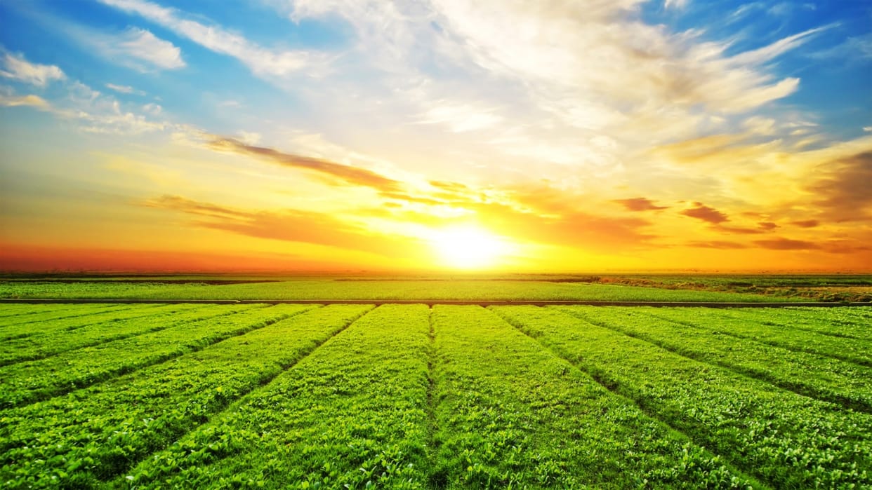 Climate-agriculture obstacles will be overcome by increasing investment FAIFA released a white paper