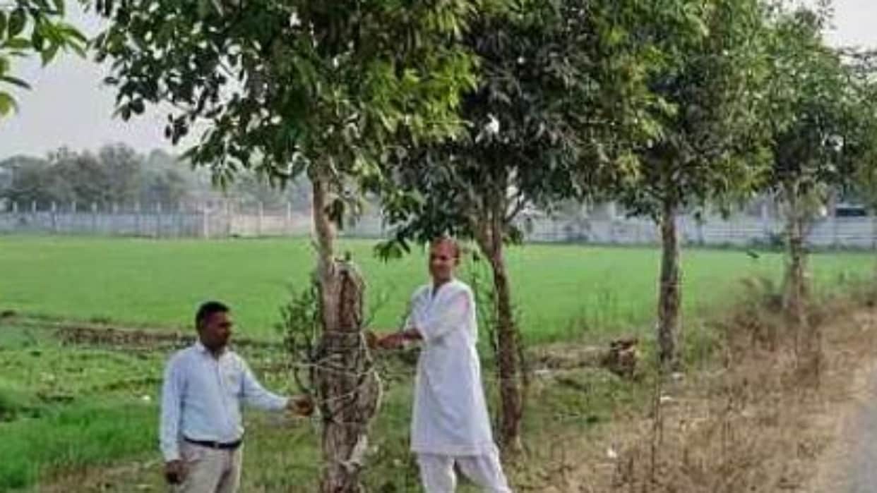 Banswara: Dr. Ragini Shah, Known as the 'Tree Doctor', Transforms Barren Land by Planting Over 75,000 Trees