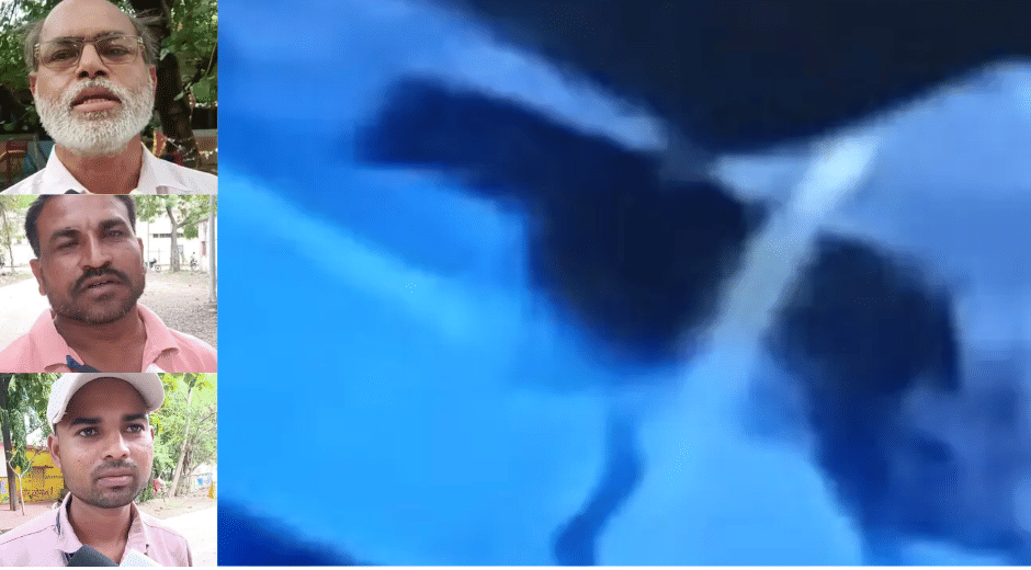 Indore News: Mysterious Animal Caught on CCTV After Deadly Attacks in Barwani Villages