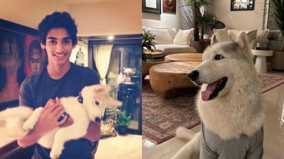 Suniel Shetty dog Brody passed away Ahan Shetty shares emotional Post with throwback Photos