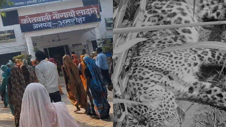 Four hours of terror in village: bloody hunter came out of the field, screams and cries... stampede and death
