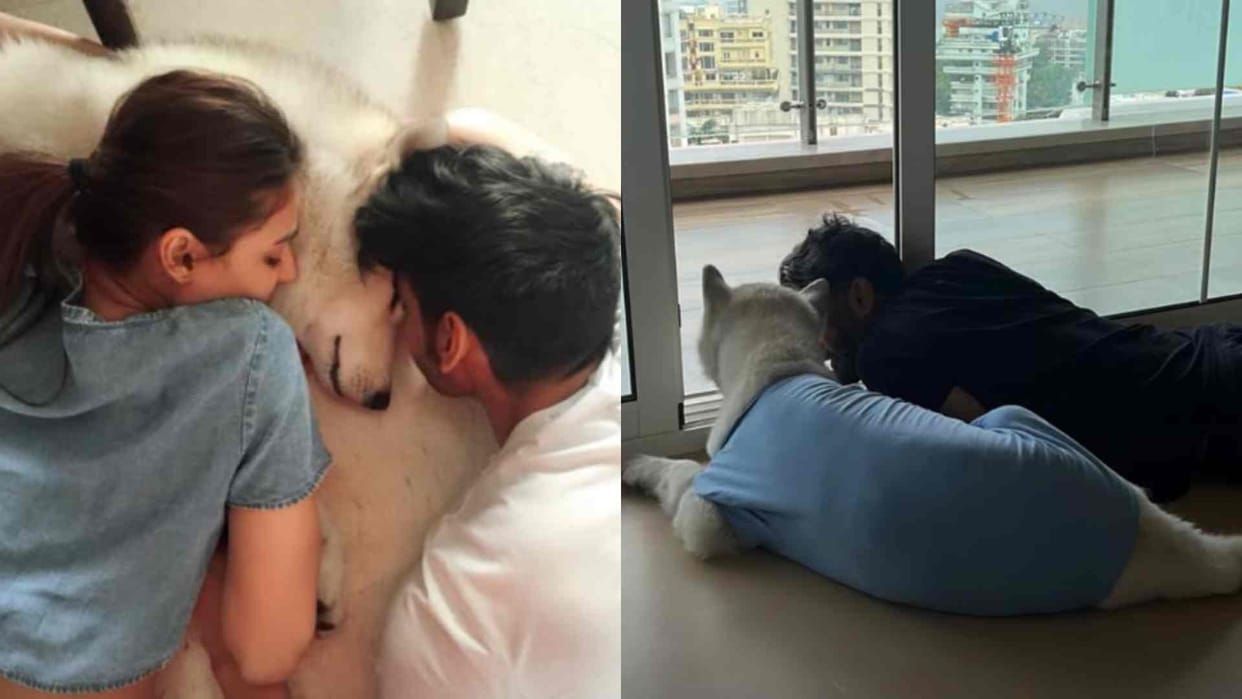 Suniel Shetty dog Brody passed away Ahan Shetty shares emotional Post with throwback Photos
