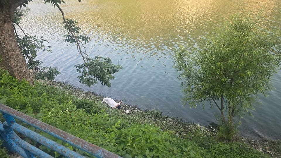 Body of an unknown woman found in Bhimtal lake