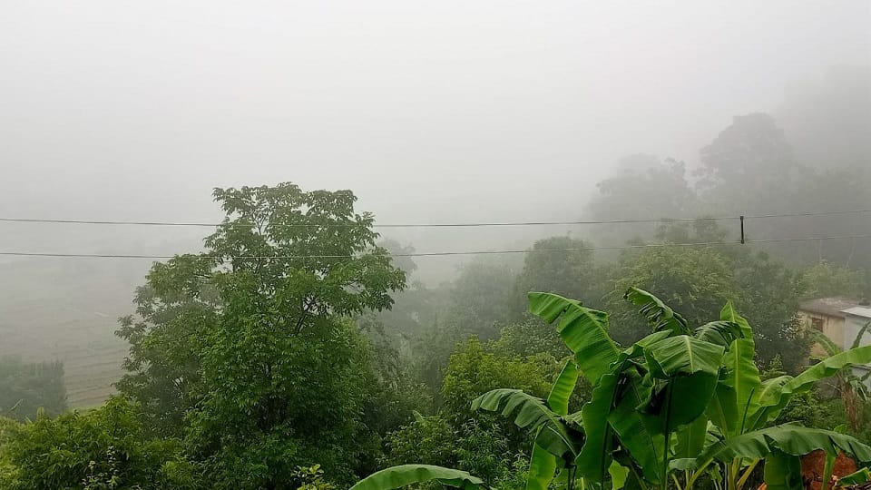 The rain of the month of Jeth is neutralizing the effect of heat