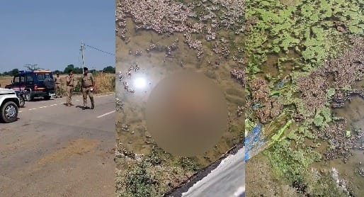 Hamirpur Body of a girl found in a pit on a link road could not be identified suspected to have been murdered