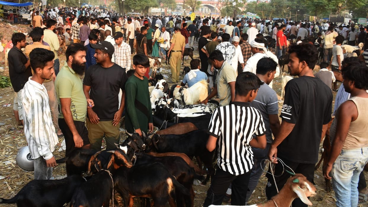Eid ul Azha: Qurbani market shines with 450 crores
