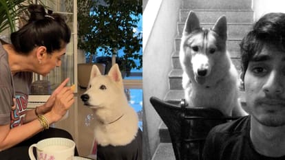 Suniel Shetty dog Brody passed away Ahan Shetty shares emotional Post with throwback Photos