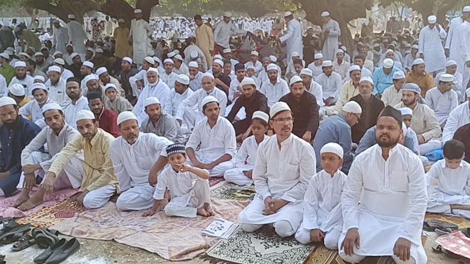 Bakrid 2025: Festive atmosphere in Moradabad division, prayers for peace, tight security arrangements