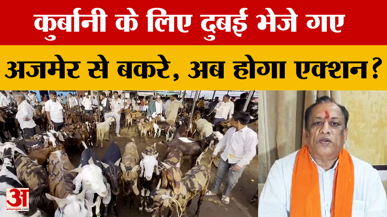 Rajasthan: कुर्बानी के लिए Dubai भेजे गए बकरे, 'नियमों के खिलाफ एक्सपोर्ट हुए तो करेंगे कार्रवाई'