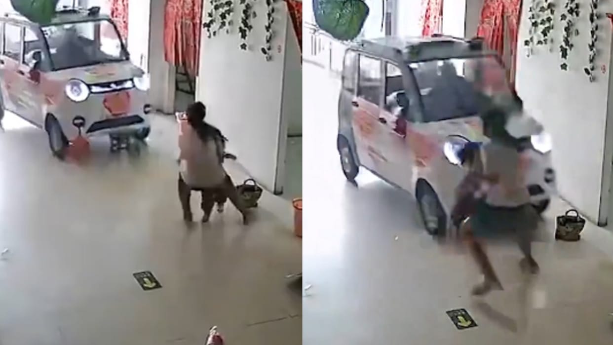 viral video of elephant elder sister who saved life if the younger sister video is going viral