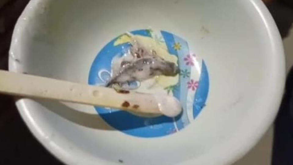 Dead lizard found in ice cream in Ludhiana