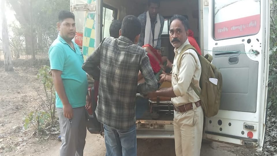 A bear attacked a woman in Marwahi forest division