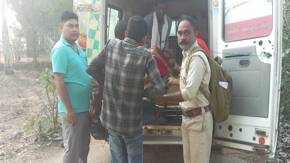 महिला पर भालू ने किया हमला