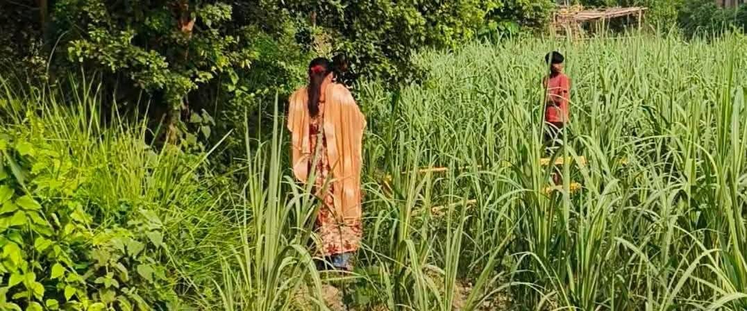 Bihar News: 16-year-old girl murdered in Gopalganj, Bihar Police engaged in investigation, Crime News in Hindi