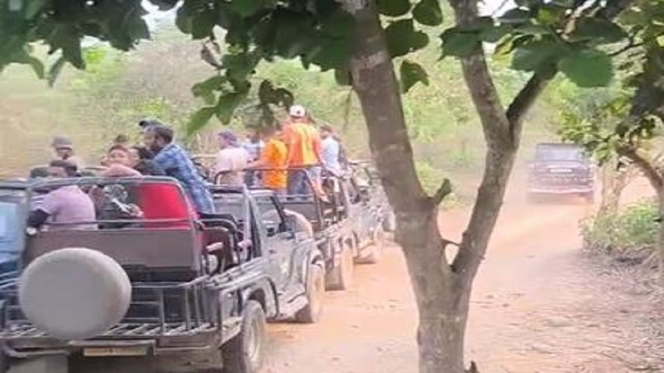 Scorpio entered the Phato tourist zone in ramnagar