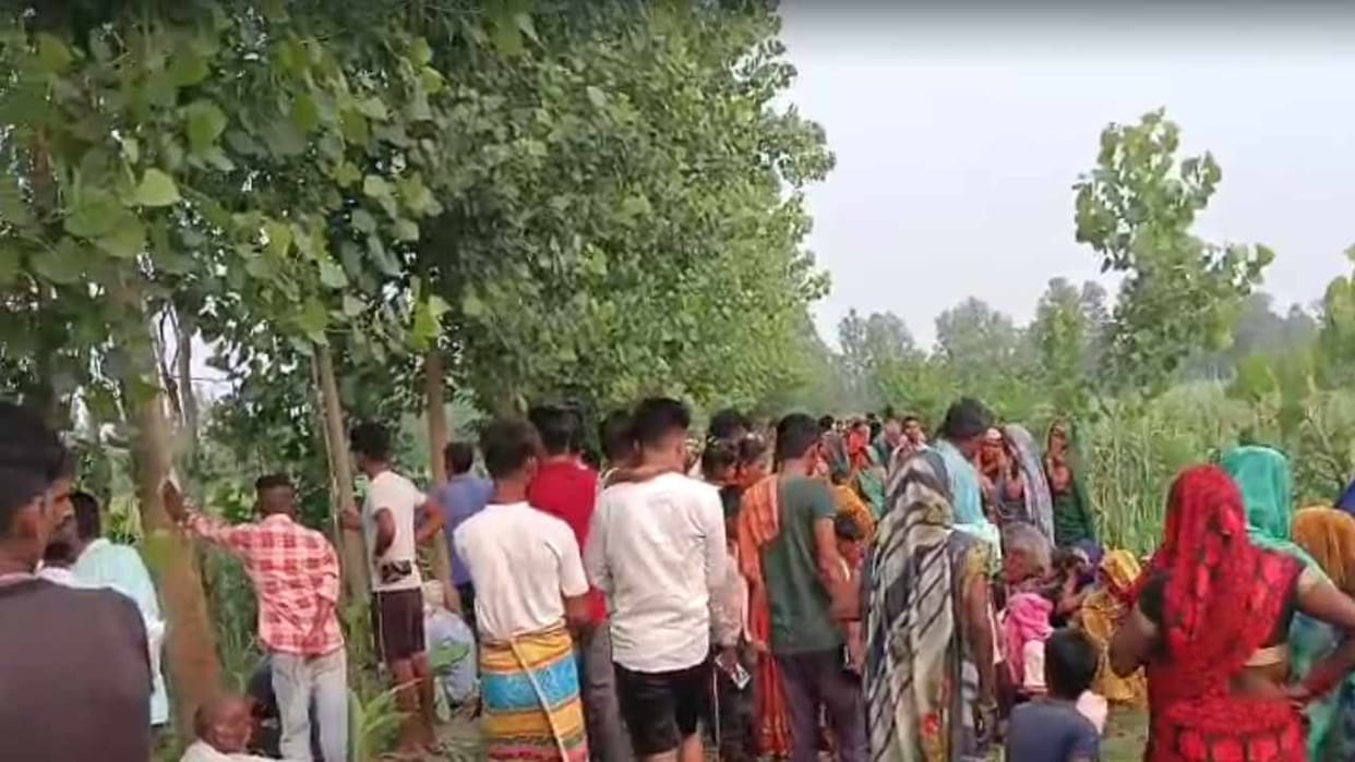 farmer who went to irrigate his crops was killed by a tiger