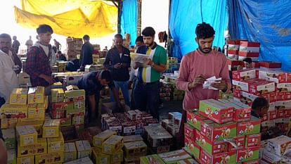 Himachal: सेब से महंगा ब्लैक अंबर प्लम, भट्ठाकुफर मंडी में 130 रुपये KG बिका; पिछले साल के मुकाबले रेट ज्यादा Himachal Black Amber plum is more expensive than apple sold at Rs 130 per kg in Bhattakufar Mandi