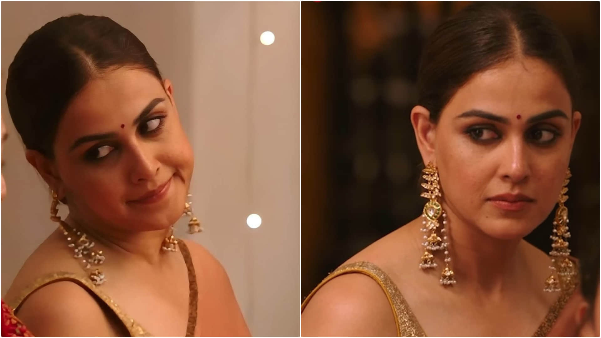 Genelia DSouza reacts To Salman Khan Not Casting Her In Ready say may we will do another film