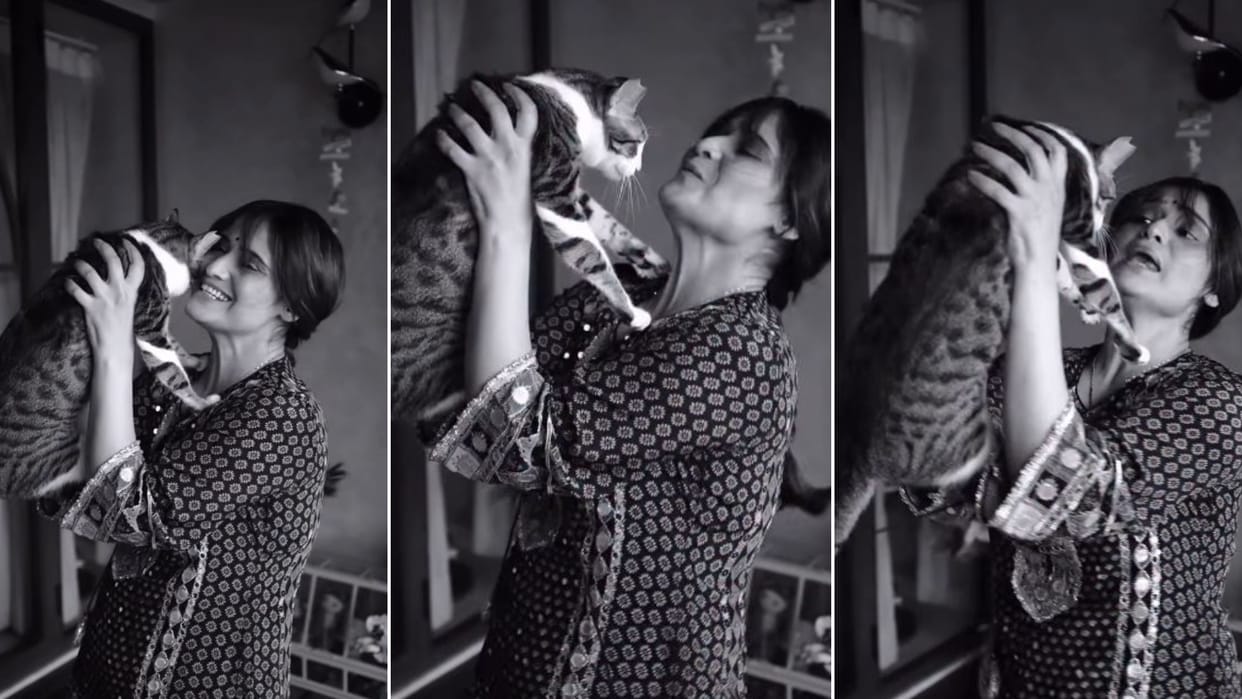 Arti singh chauhan latest video with cat goes viral says cats strength My life changed after they came into it