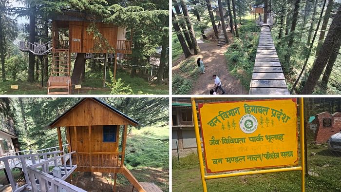 Himachal new tourist place Bhulah Biodiversity Park has become a favourite destination for tourists