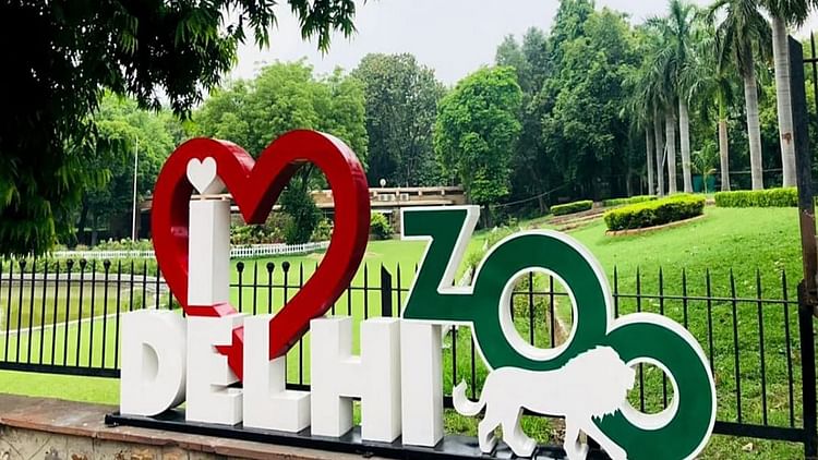 Government Is Preparing To Make Delhi Zoo Like Vantara – Amar Ujala Hindi News Live