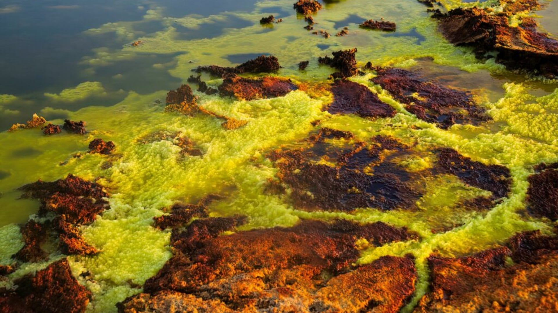 Hottest Place on Earth Hides Some Astonishing Secrets Know What Lies There