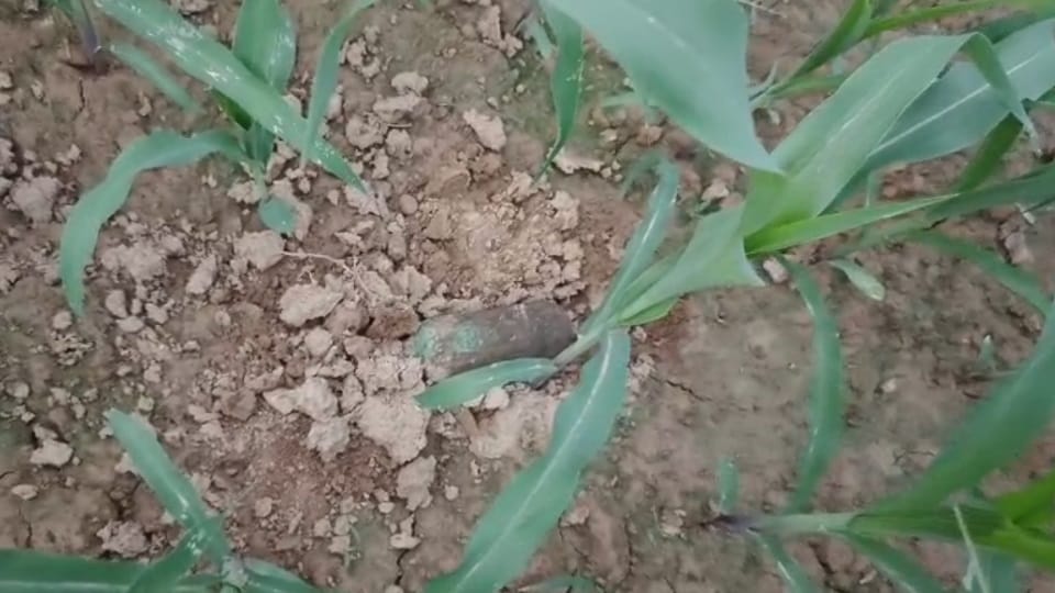 live bomb found in Pathankot Army defused it
