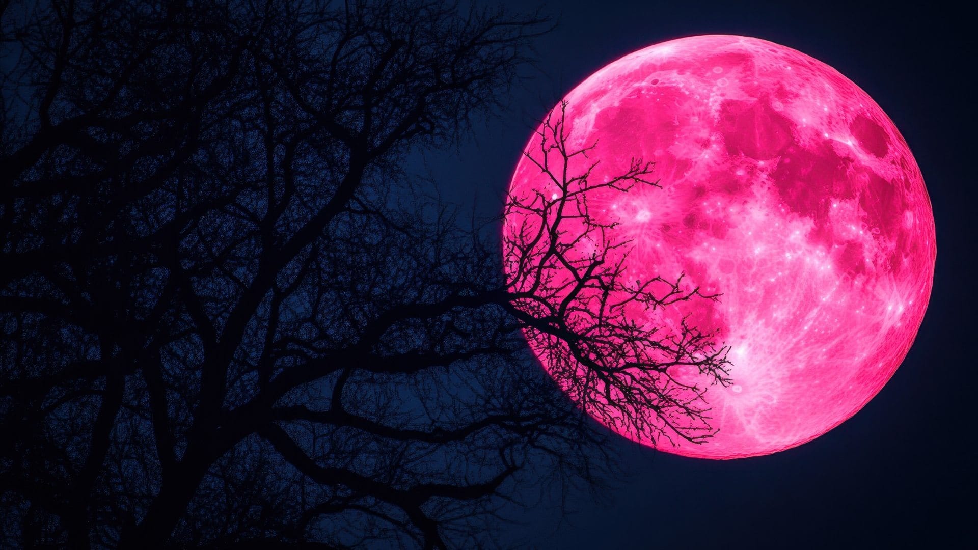 strawberry moon 2025 rare lunar event on june 11 what is the relation with honeymoon know all details