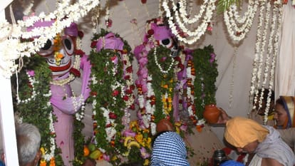 Jagannath Rath Yatra The Ancient Reason Behind Offering Neem to Lord Jagannath