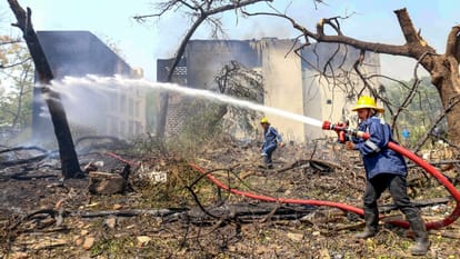 Ahmedabad plane crash The pain of Maithili Moreshwar Patil and Yasha's family News In Hindi