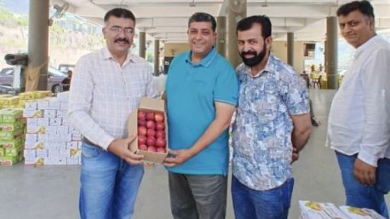 Himachal 10 kg box of Red June apples sold for Rs 600 first consignment reached Bhattakufar Mandi