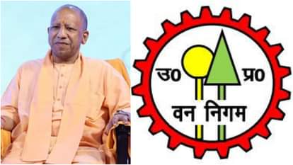 उत्तर प्रदेश वन निगम के लिए सरकार ने उठाए कई कदम।
