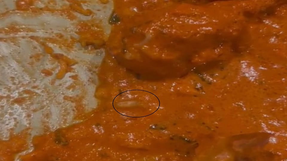 Insects found crawling in butter chicken in rudrapur