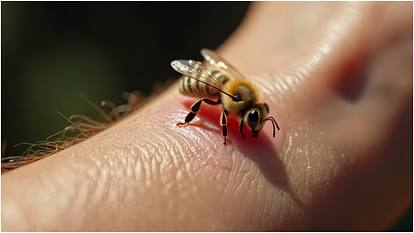 Karisma Kapoor Ex Husband Sunjay Kapur dies After swallowing a bee trigger a heart attack know how to prevent