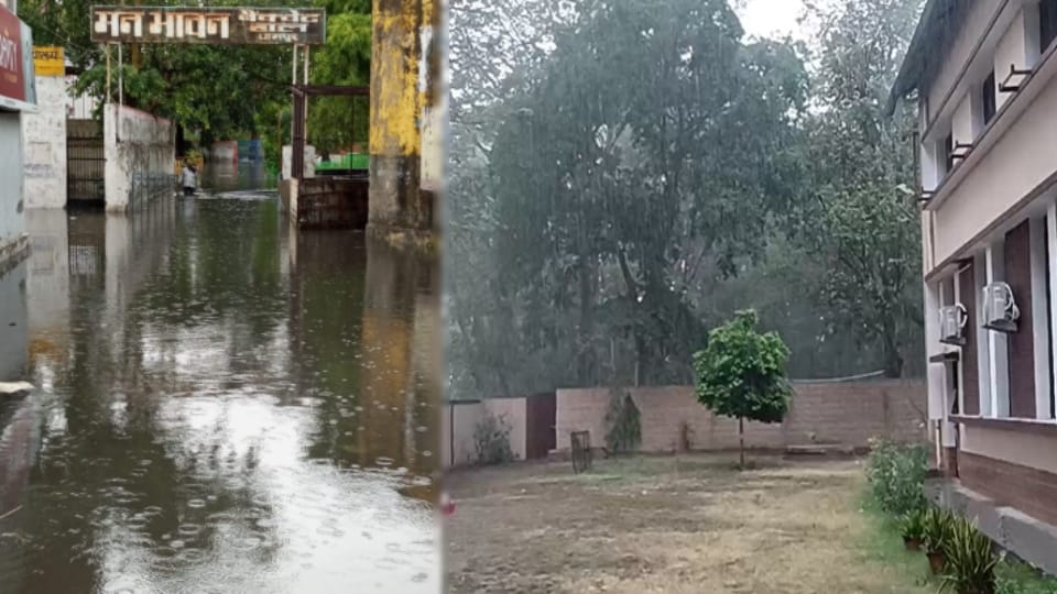 Rain In Bijnor: Unseasonal rain revives crops, brings relief from heatwave in Bijnor region