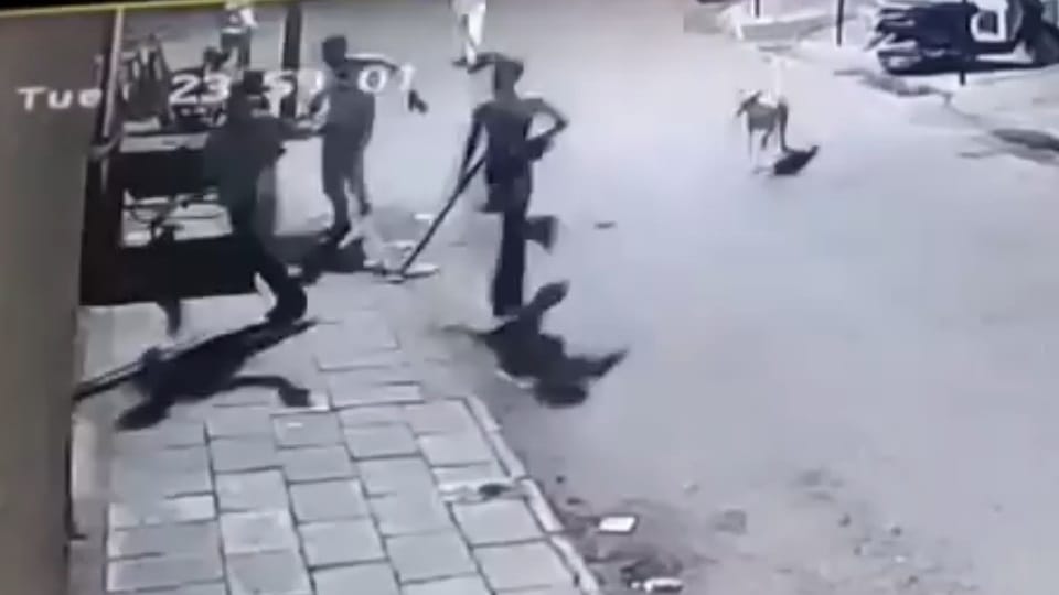 Firing in Dadumajra, woman injured due to stone pelting, minor arrested