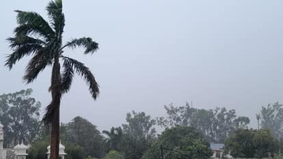 Heavy rain in Moradabad division, woman dies due lightning Rampur, relief in Sambhal-Amroha
