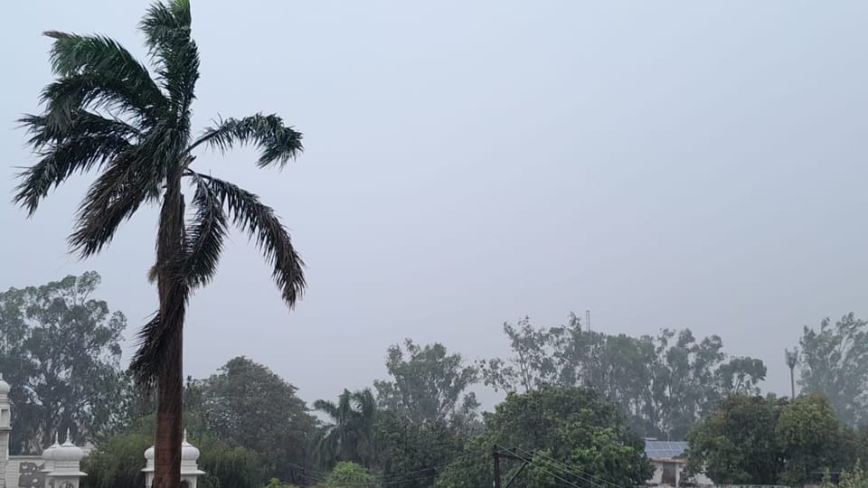 Heavy rain in Moradabad division, woman dies due lightning Rampur, relief in Sambhal-Amroha