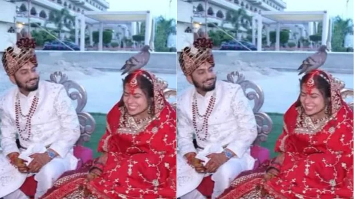 The wedding was going on in the mandap then a pigeon sat on the head of the bride Video goes Viral