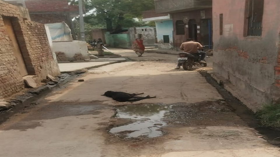 Roads and lanes were dug up in Atrauli
