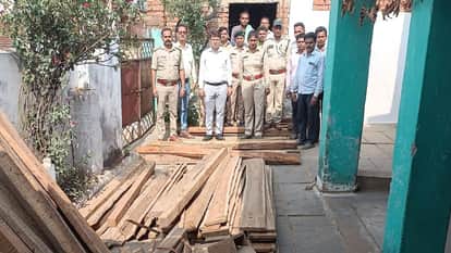 Forest department takes a big action, illegal wood worth 50 thousand rupees seized