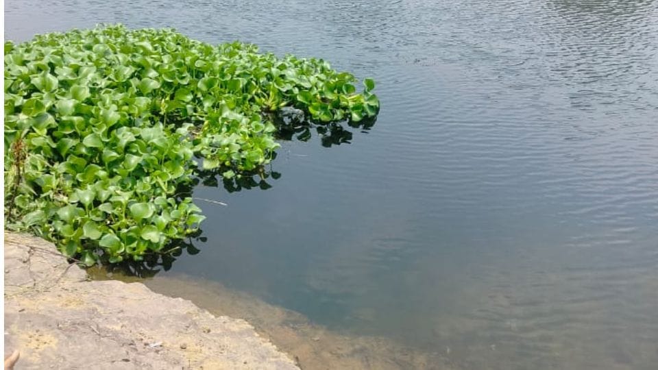 woman died after drowning in deep water while bathing in Kelo river