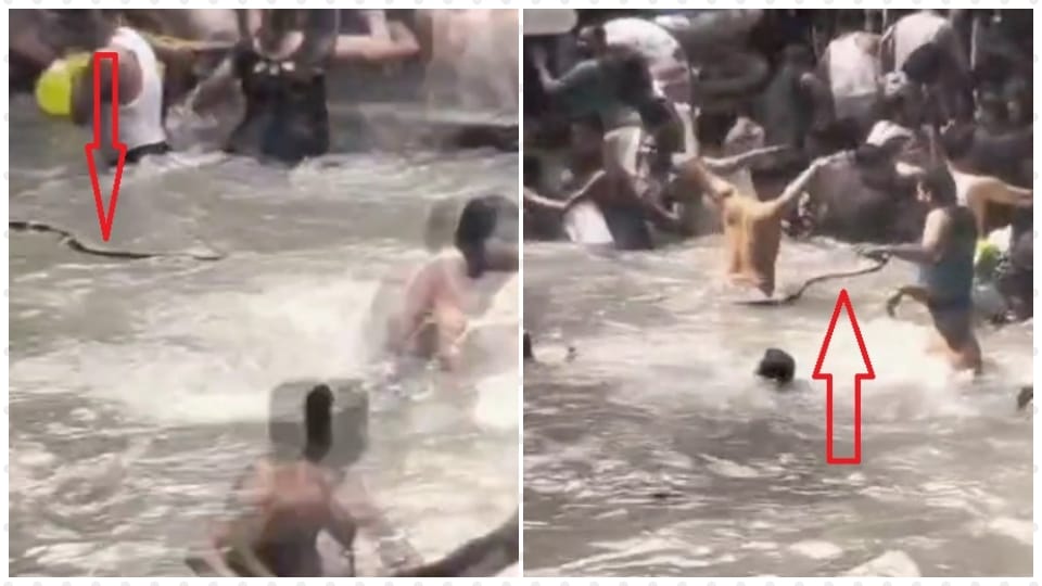 chaos in Kempty Falls a snake appeared among tourists bathing in lake