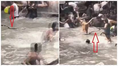 कैम्पटी फॉल में मची अफरा-तफरी: पानी में मौज कर रहे थे सैलानी, अचानक तैरता हुआ आया सांप; Video में देखें मंजर chaos in Kempty Falls a snake appeared among tourists bathing in lake