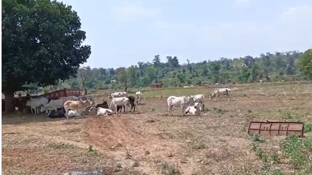 Three smugglers arrested were going to carry out smuggling through the forest