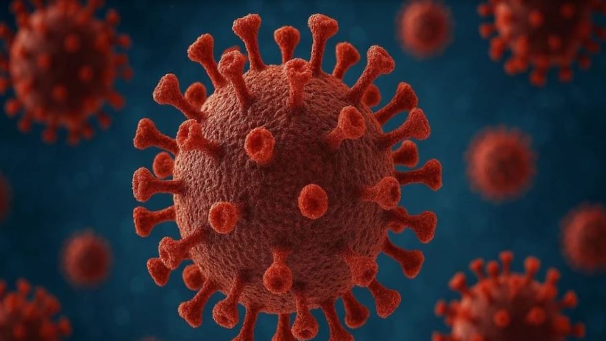Rajasthan Corona News: Deaths Due to COVID, 34 New Cases in Last 24 Hours, Jaipur Reports Most Infections