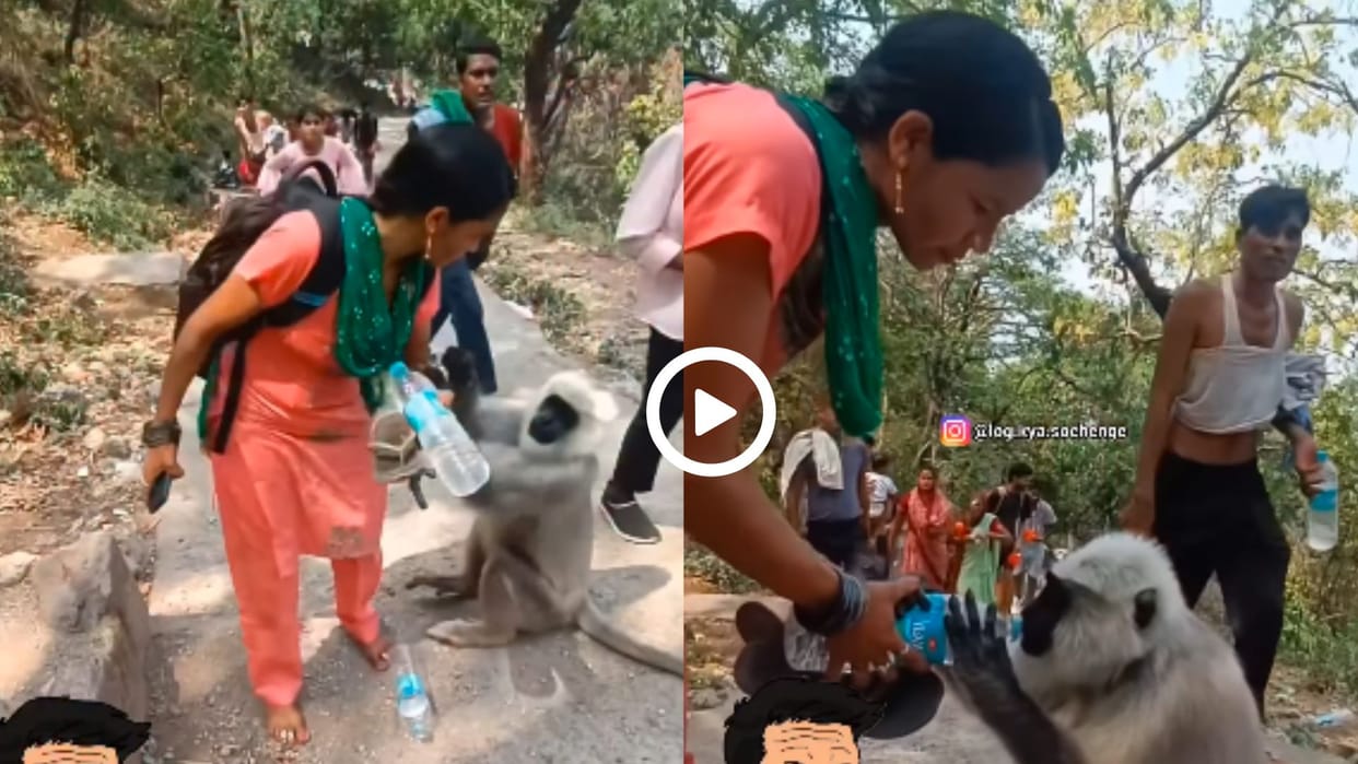 woman did something with a monkey, heart touching video went viral